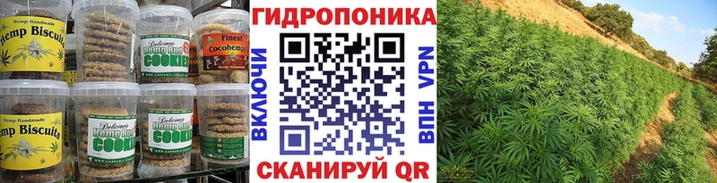 KRAKEN   наркотики  Нягань  Canna-Cookies конопля 